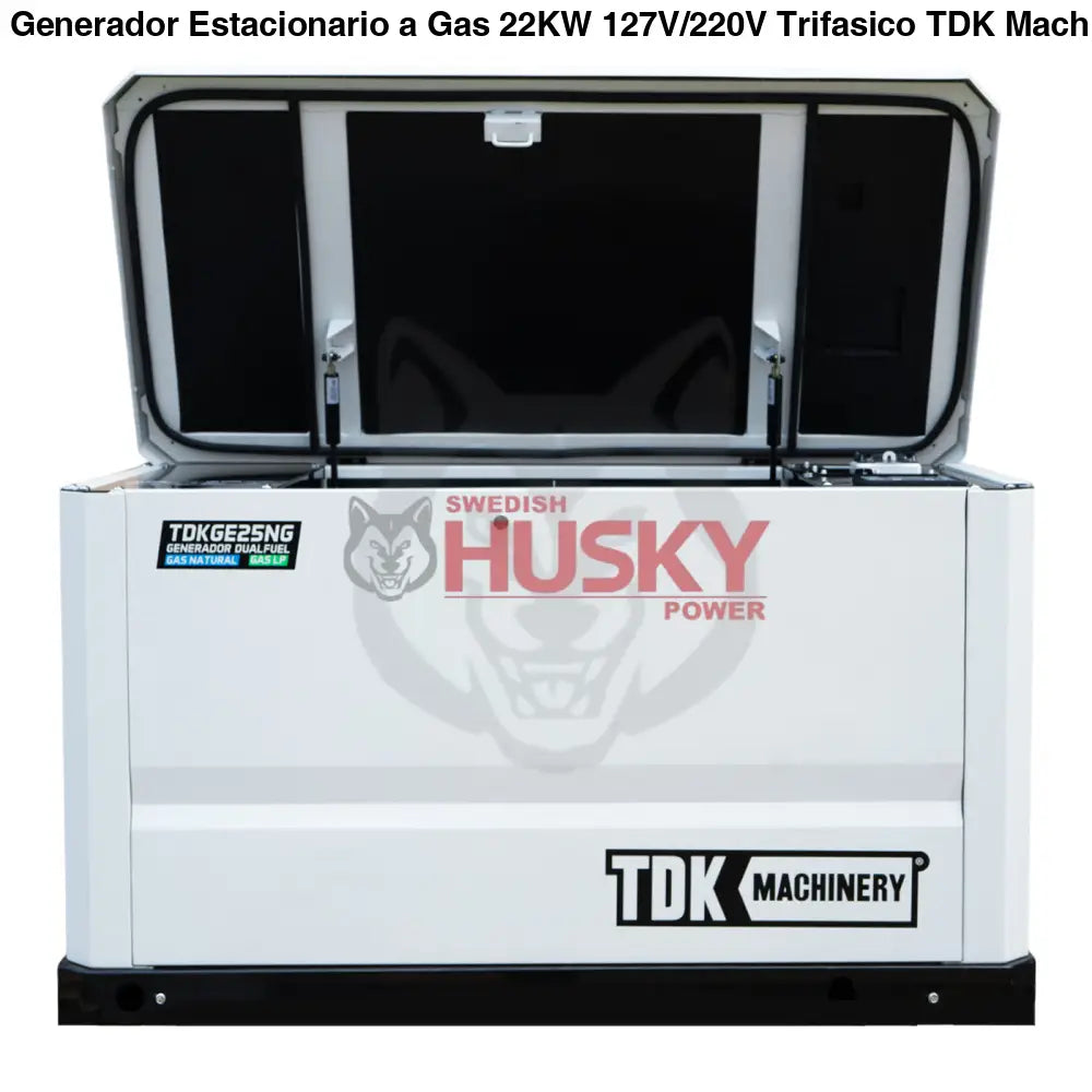 Generador De Cabina Dual Fuel Estacionario 22KW 127V/220V - TDKGE25NG