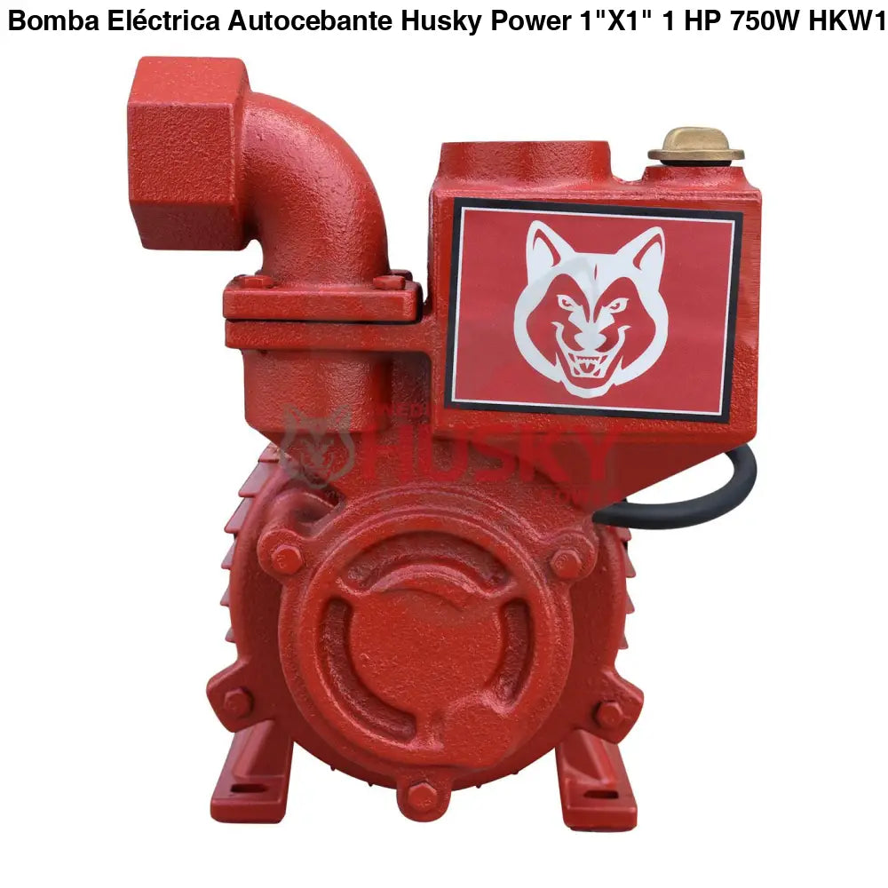 Bomba Eléctrica Autocebante Husky 1"X1" 1 HP 750W HKW100