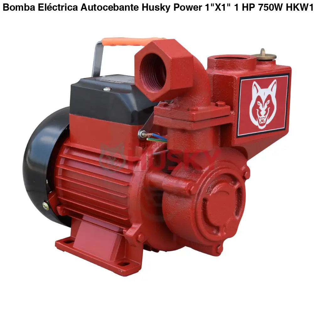 Bomba Eléctrica Autocebante Husky 1"X1" 1 HP 750W HKW100