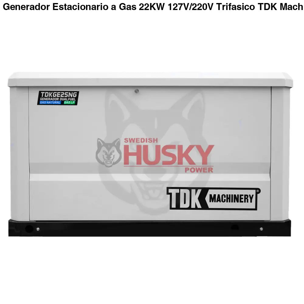 Generador De Cabina Dual Fuel Estacionario  22KW 127V/220V - TDKGE25NG