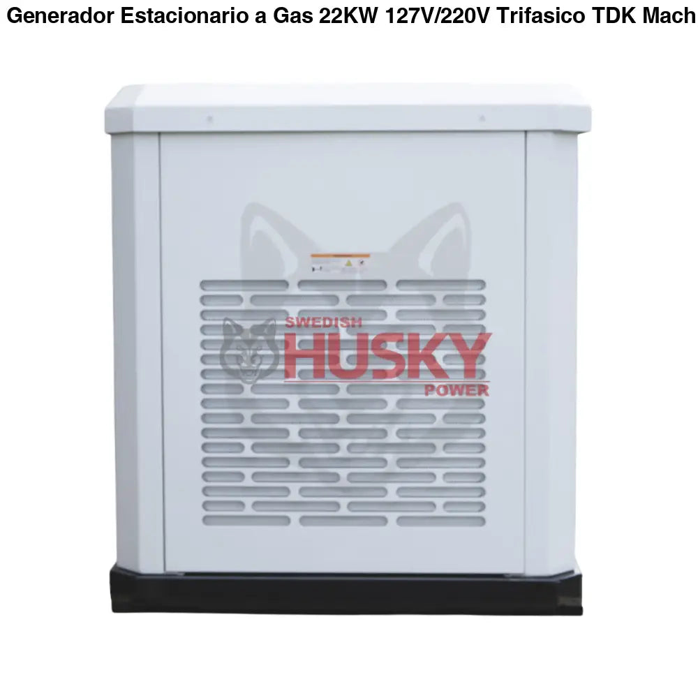 Generador De Cabina Dual Fuel Estacionario  22KW 127V/220V - TDKGE25NG