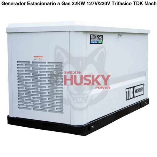 Generador De Cabina Dual Fuel Estacionario  22KW 127V/220V - TDKGE25NG
