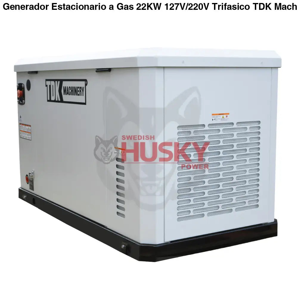Generador De Cabina Dual Fuel Estacionario  22KW 127V/220V - TDKGE25NG