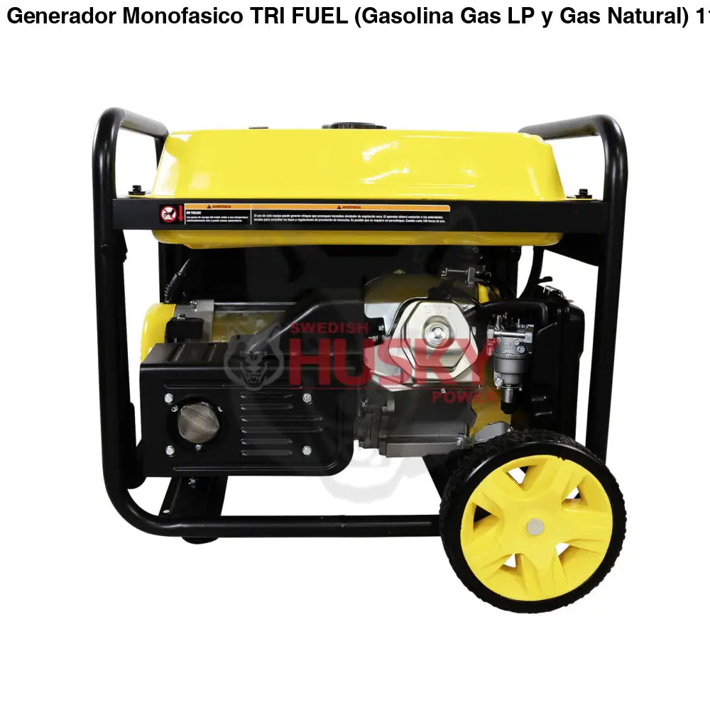 Generador Monofasico TRI FUEL (Gasolina, Gas LP y Gas Natural) 110v/220v 15.3 Hp TDK - ATLAS10TF