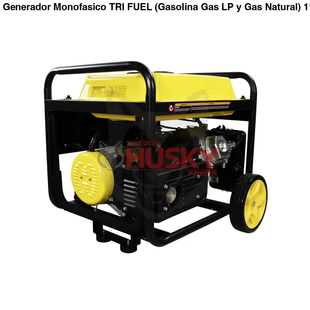 Generador Monofasico TRI FUEL (Gasolina, Gas LP y Gas Natural) 110v/220v 15.3 Hp TDK - ATLAS10TF