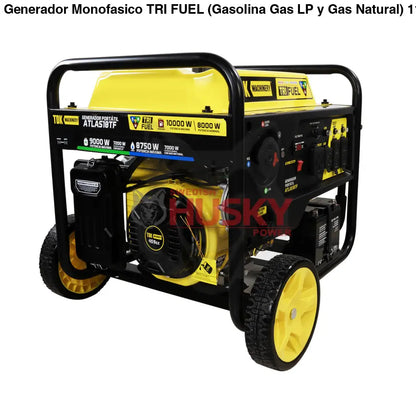 Generador Monofasico TRI FUEL (Gasolina, Gas LP y Gas Natural) 110v/220v 15.3 Hp TDK - ATLAS10TF